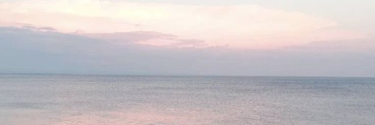 lema banner
