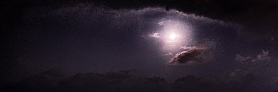 ♞ banner