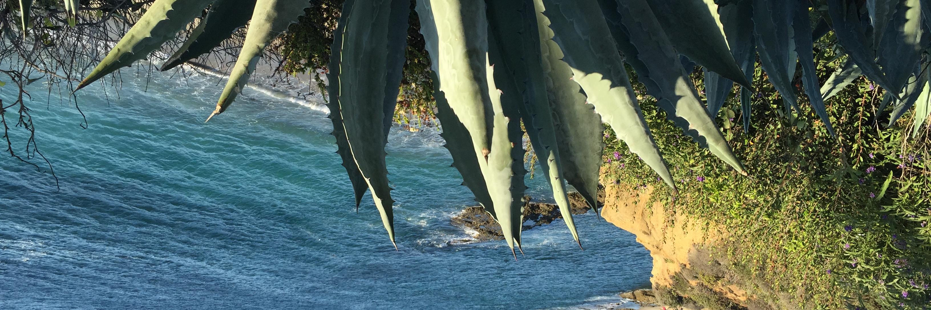 Lindsay Parker banner