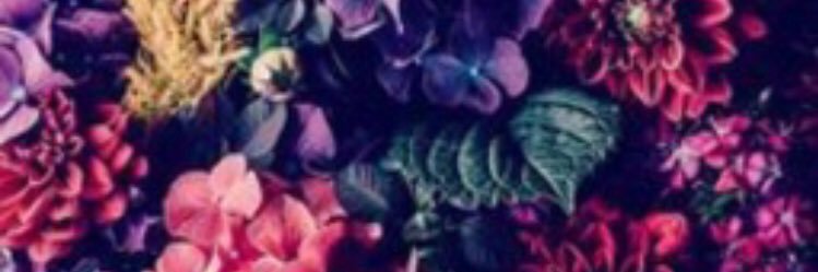 cindyycombs's profile banner image