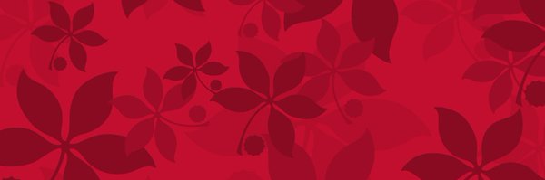 OhioStateDesign Profile Banner