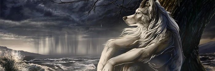 0xBurki's profile banner image