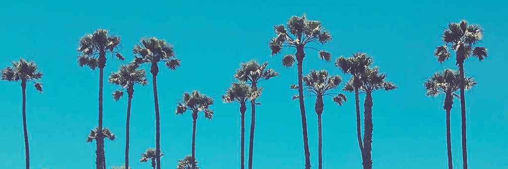 iAngieMae's profile banner image