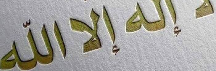 freemanstein1's profile banner image