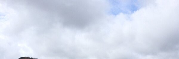 WornTin Profile Banner