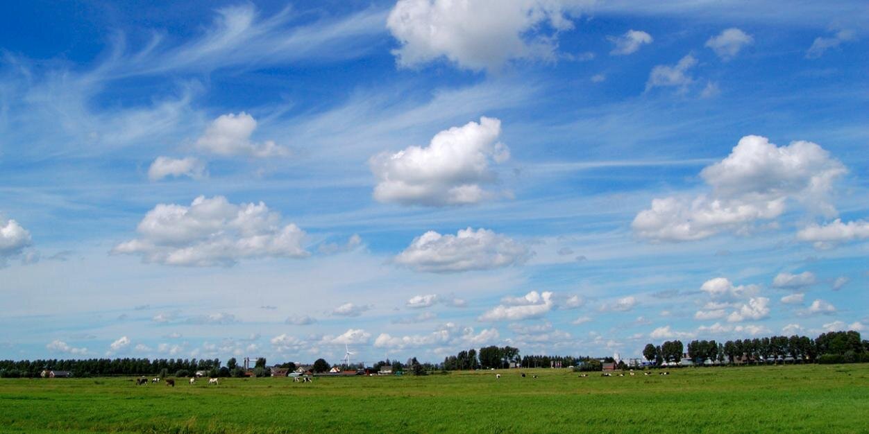 Groenzoom's profile banner image
