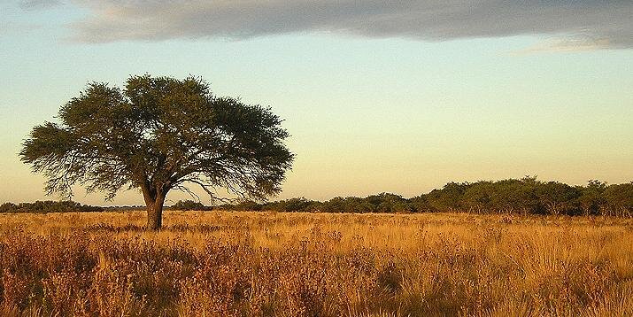 GobLaPampa's profile banner image