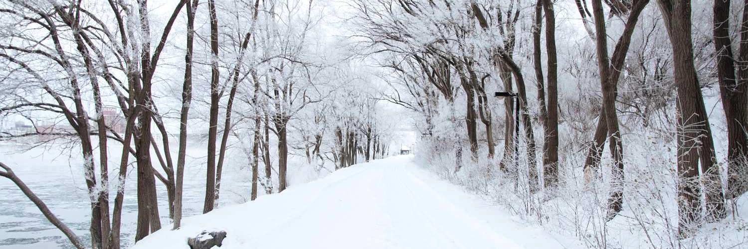 maryrose siose banner