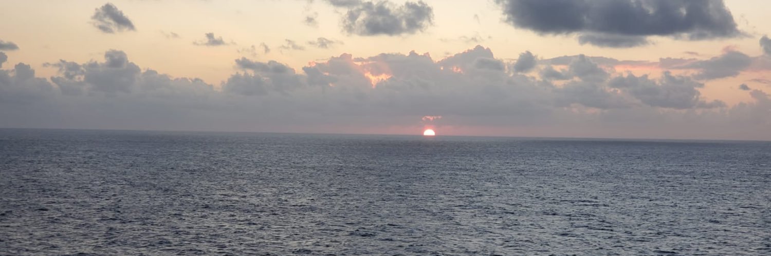 Natalie Caula Hauff banner