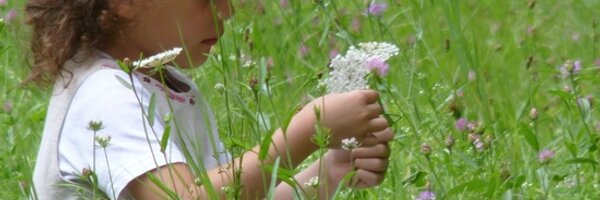 PaysagesdeFranc Profile Banner