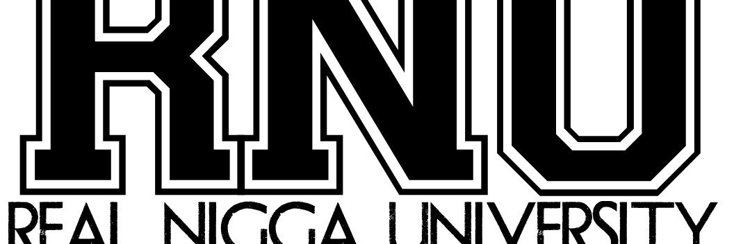 NiceVillanRNU's profile banner image