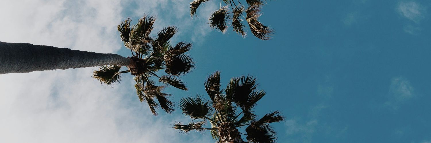 MiikeAlejandro's profile banner image
