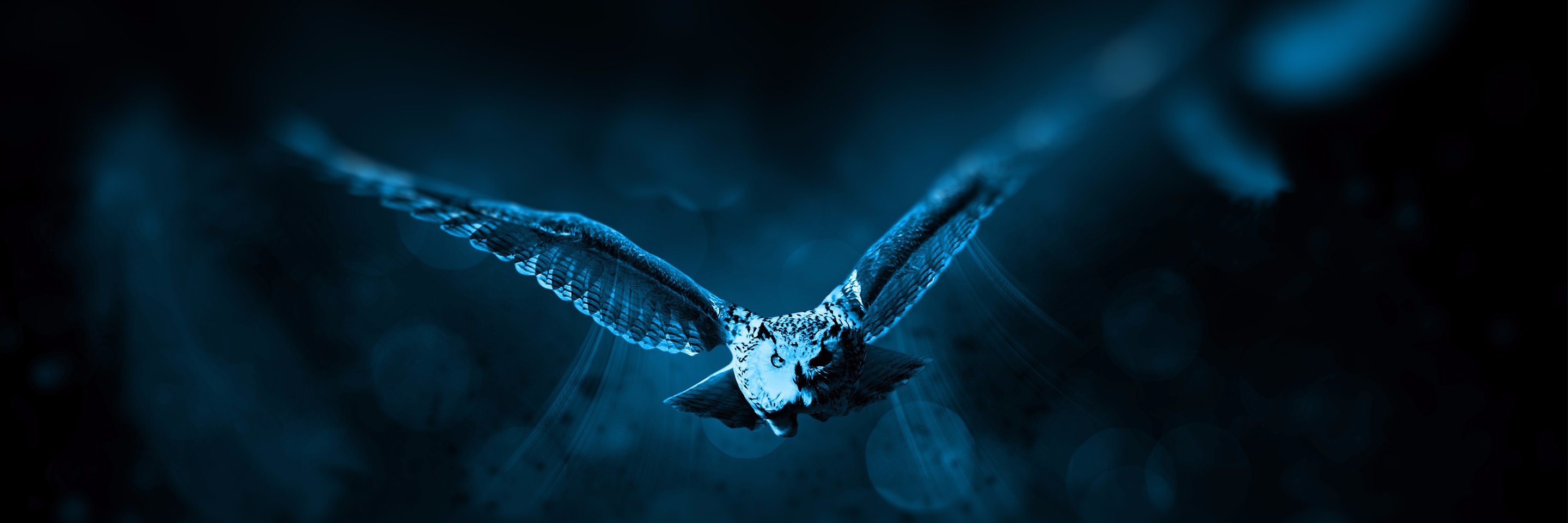 Bhuvaneshmohan's profile banner image