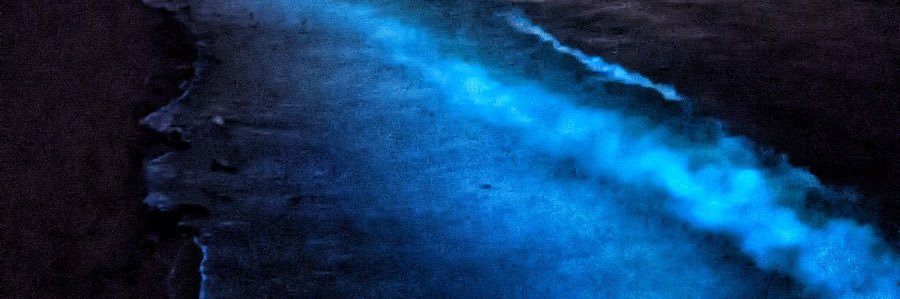 goldsonali's profile banner image