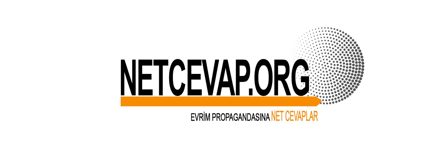 Net_Cevap's profile banner image