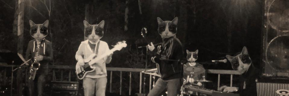 GuidonianFan's profile banner image