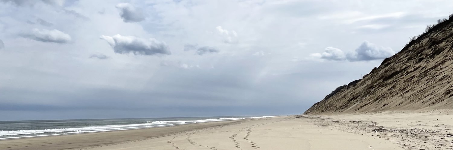 Bill Monighetti banner