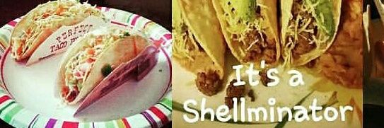 TheShellminator's profile banner image