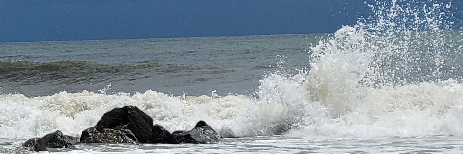 MintzMeri's profile banner image