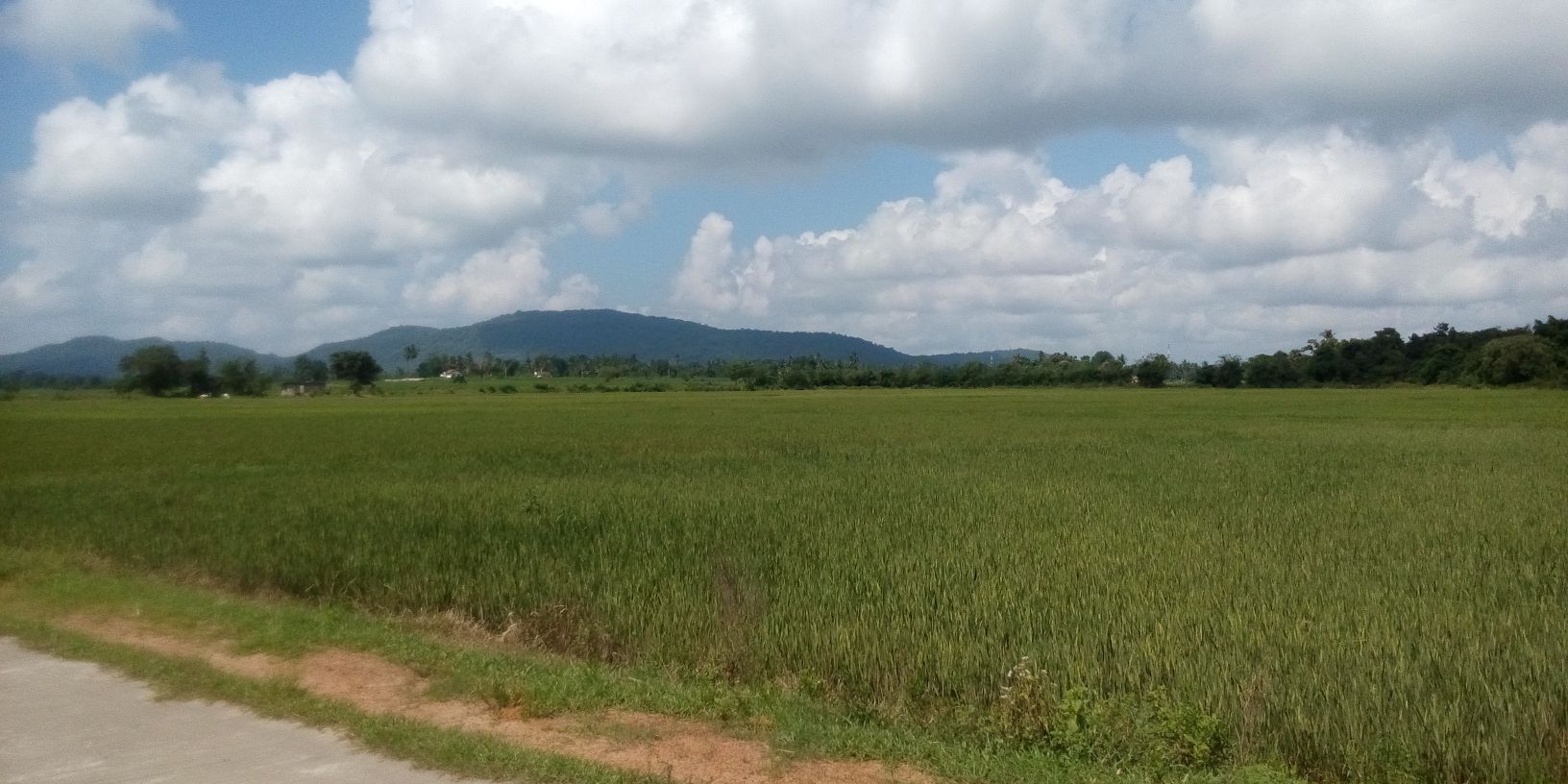 hariprasan's profile banner image