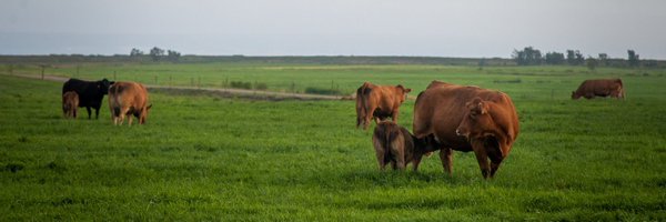 MadiLewis72 Profile Banner