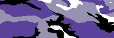 softpeppermint's profile banner image