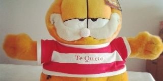 GarfieldPanama's profile banner image