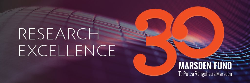 Marsden Fund banner