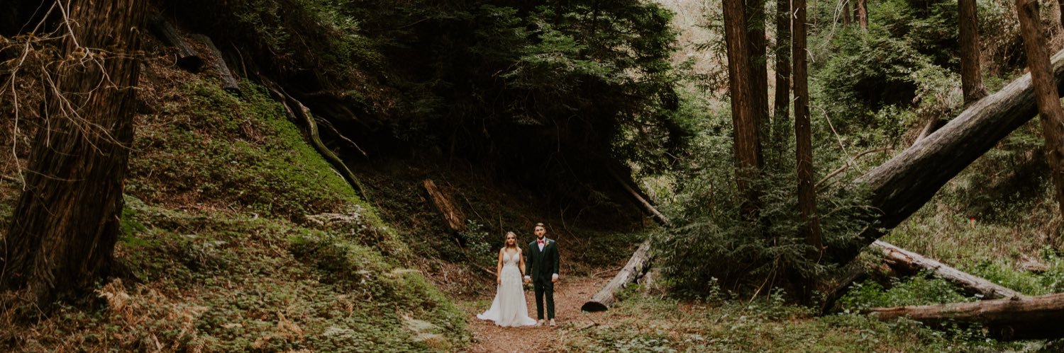 CarsonColvin's profile banner image