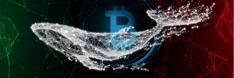 CryptoGi4nt's profile banner image