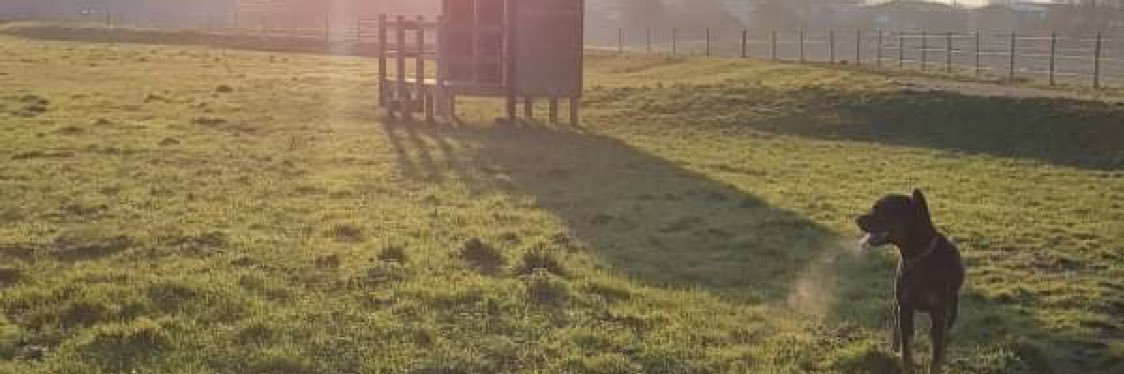 peteeatough's profile banner image