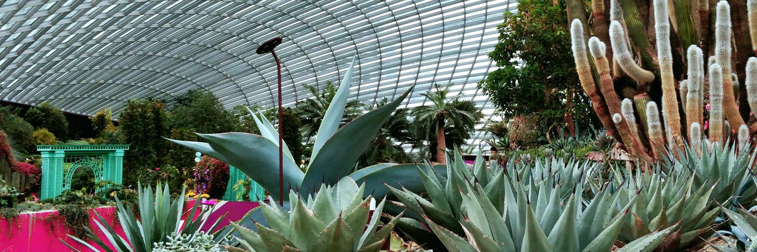 Alyx Baldwin banner