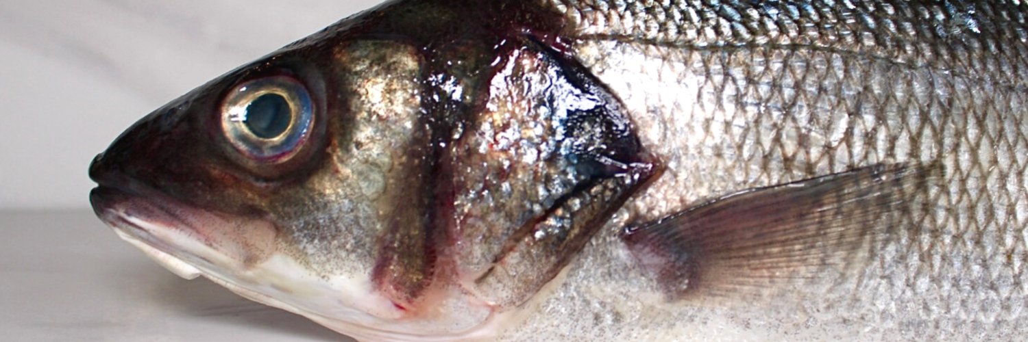 ProFish Seafood banner