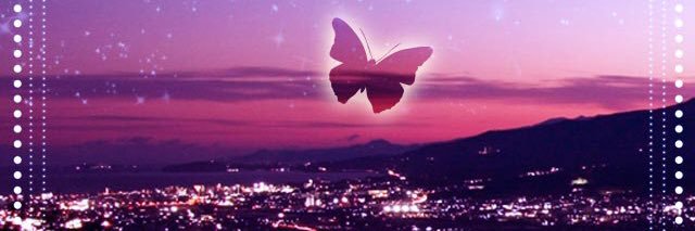 catsxhunt's profile banner image