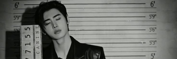 𝓦𝗈͟𝗇͟𝗒͟𝗈͟𝗎͟𝗇͟𝗀!✸ banner