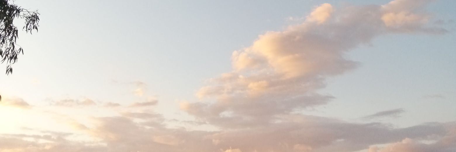 nashfool's profile banner image
