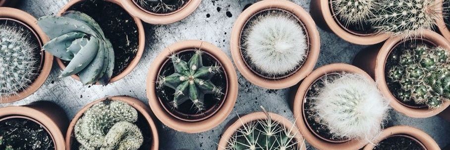 byvb_'s profile banner image