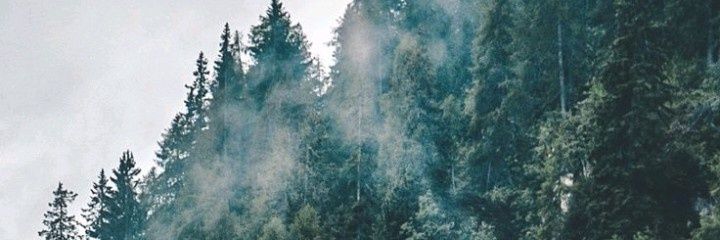 ValeantoVm's profile banner image