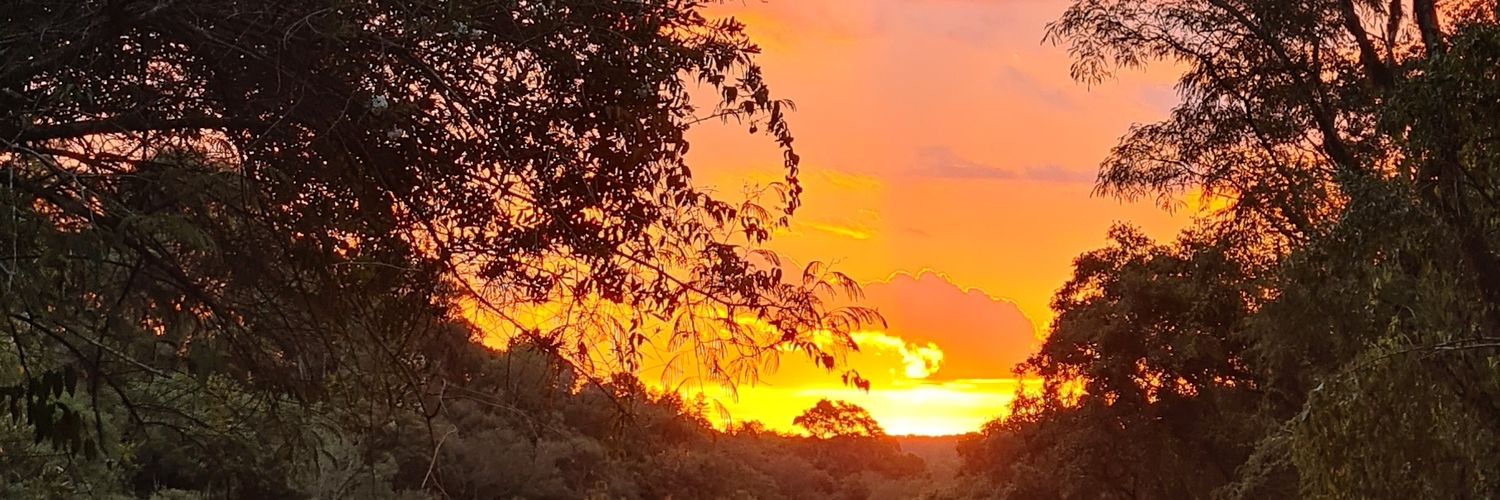dianapintos's profile banner image