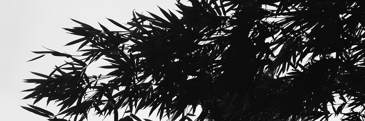 jamisonjanaaa's profile banner image