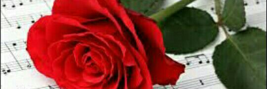 TweetRt♫•• ♪ •.♪ banner