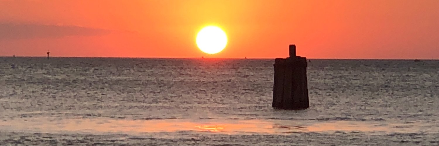 defectiveMom's profile banner image