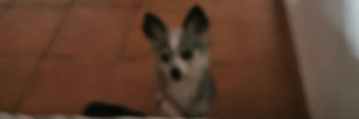AzulPaulina2's profile banner image