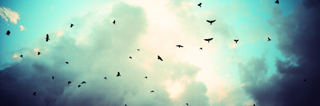simplycaroldy's profile banner image