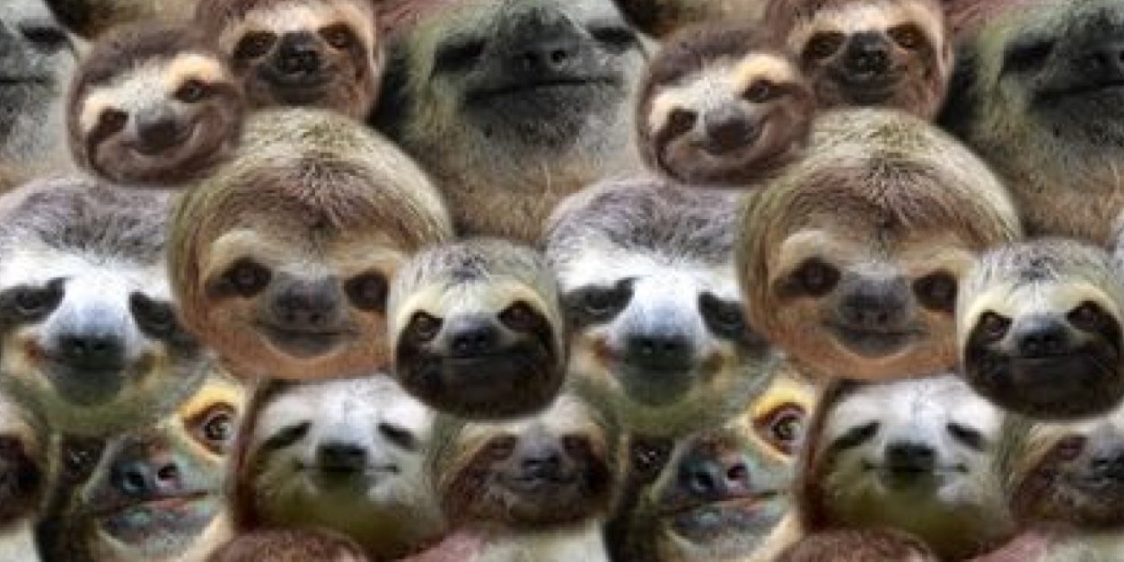 slothily's profile banner image