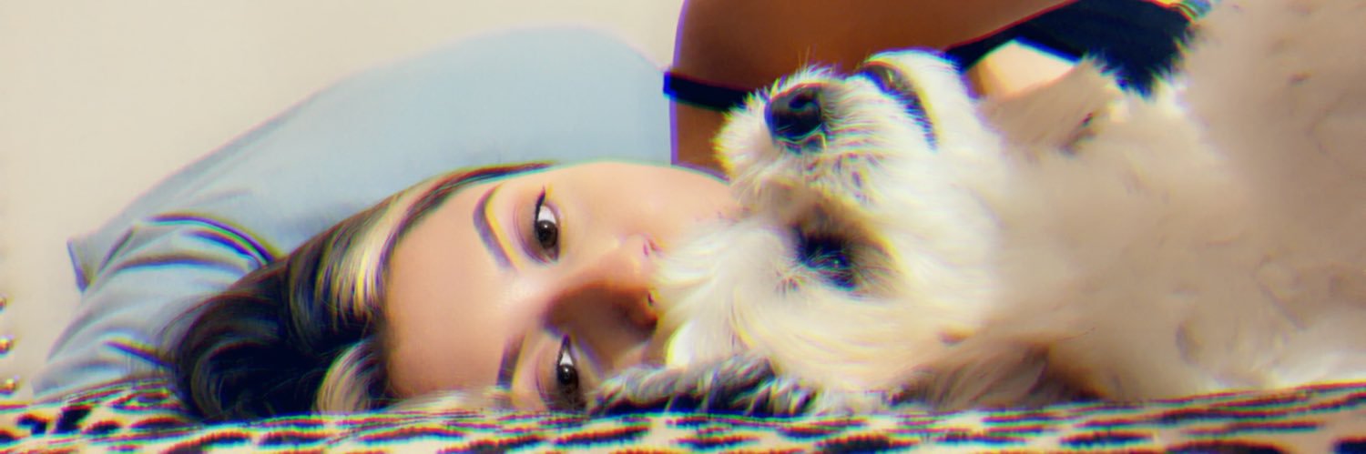 dee_xoxo's profile banner image
