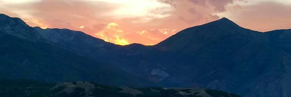 MsAmberbart's profile banner image