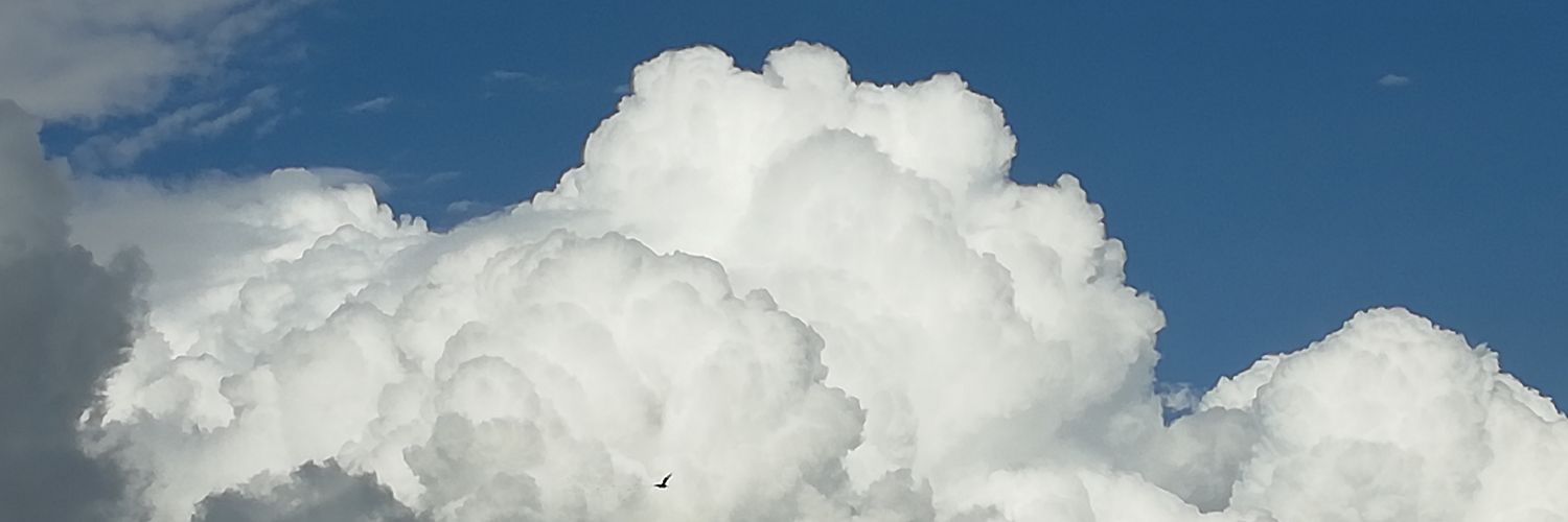 StigersLine's profile banner image