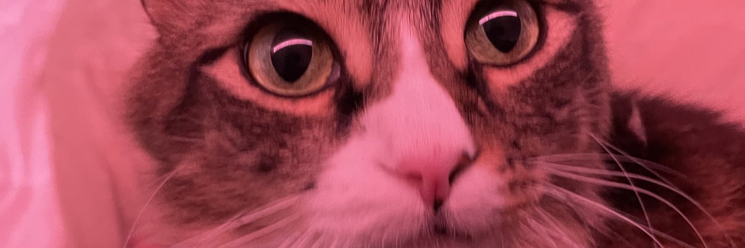 kittyklietz's profile banner image