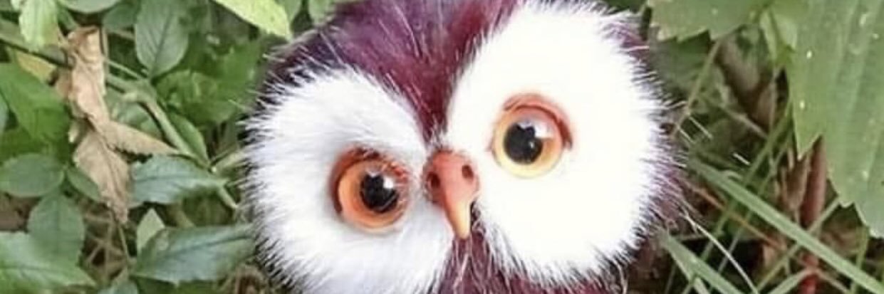 opsaklinik's profile banner image